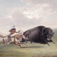 Native American Foods: Eating and Gathering Habits Explored